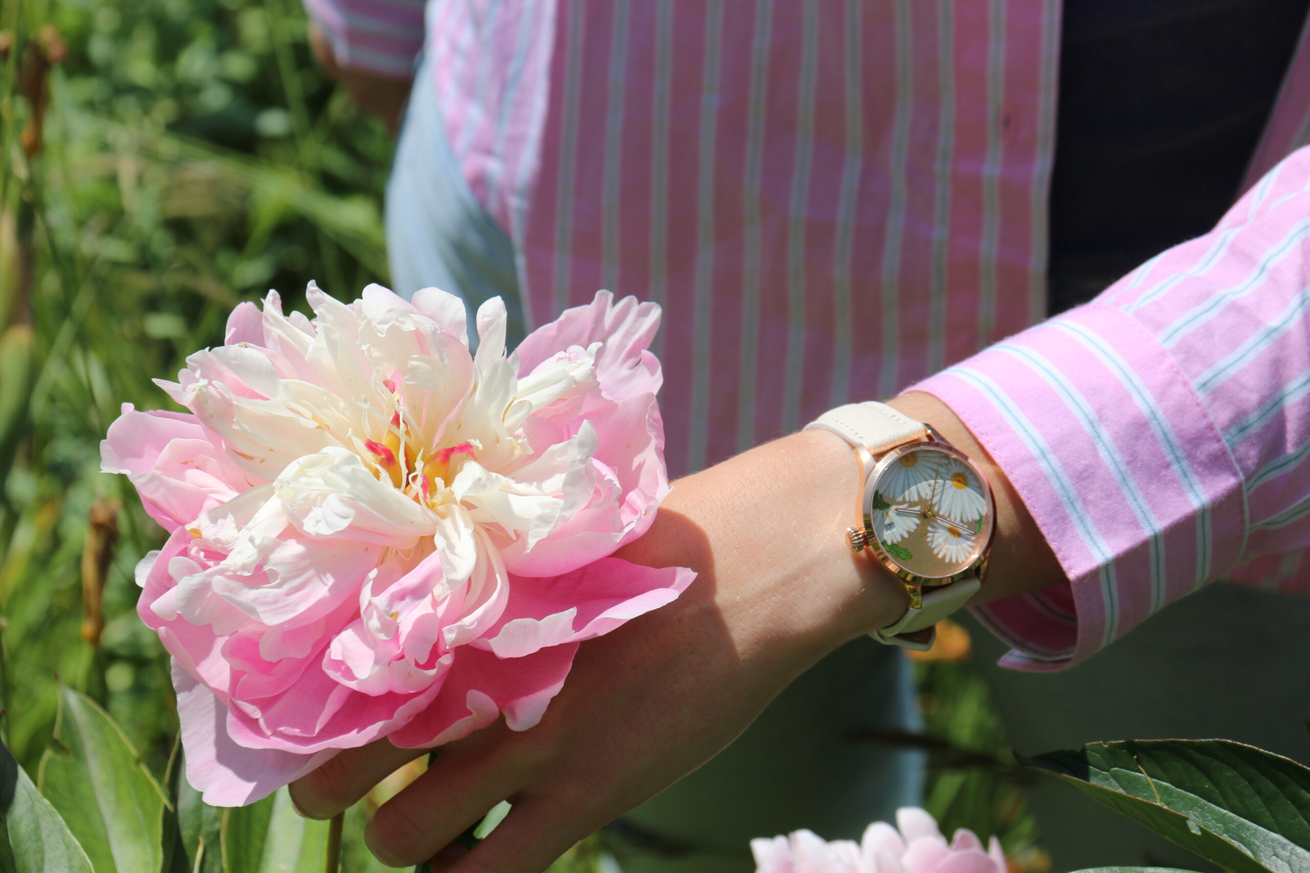 Marguerites